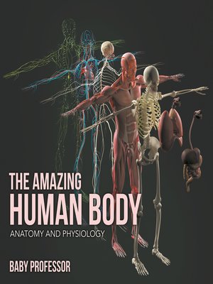 cover image of The Amazing Human Body--Anatomy and Physiology